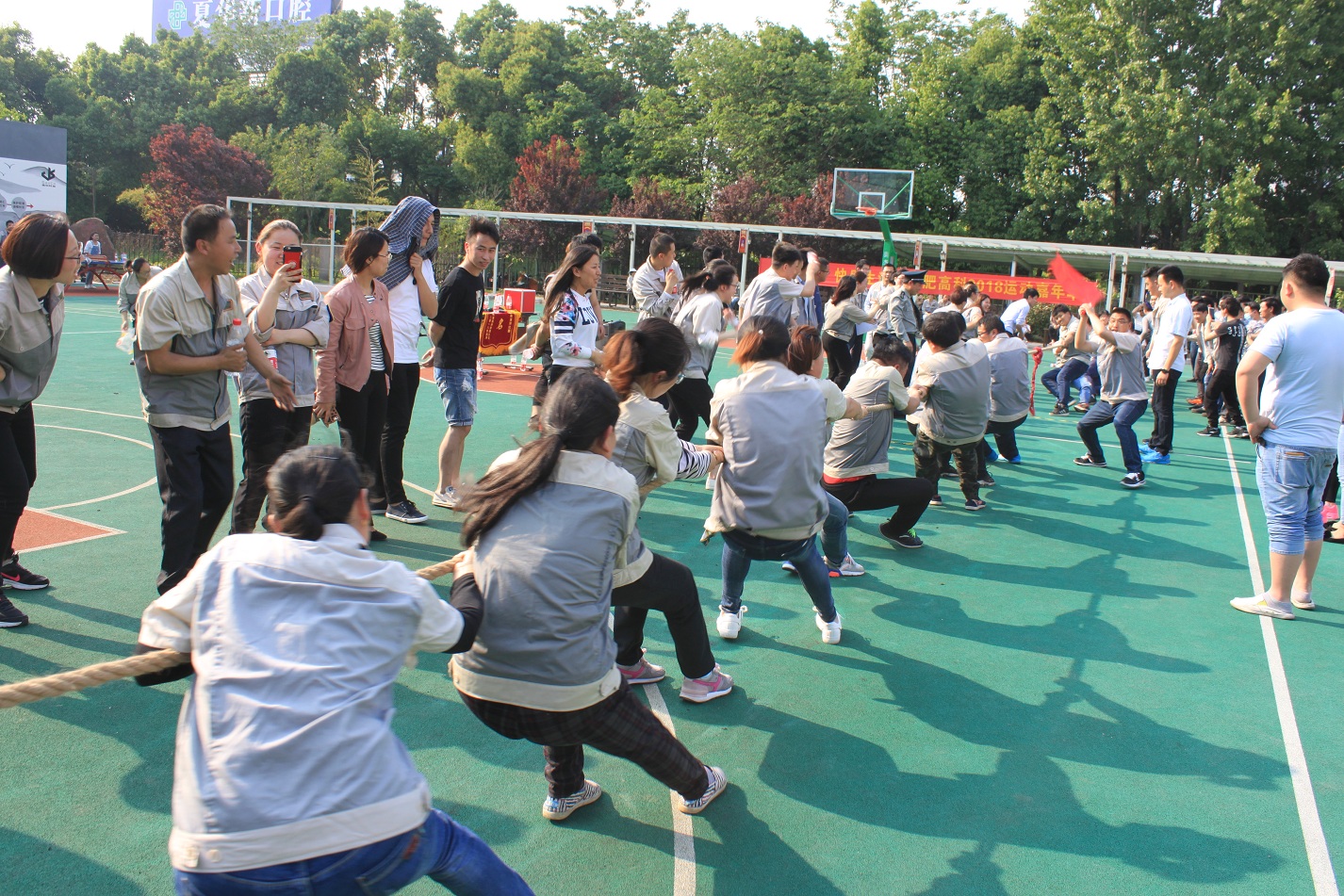 云顶国际·(中国)唯一官方网站